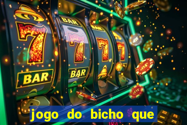 jogo do bicho que paga no pix